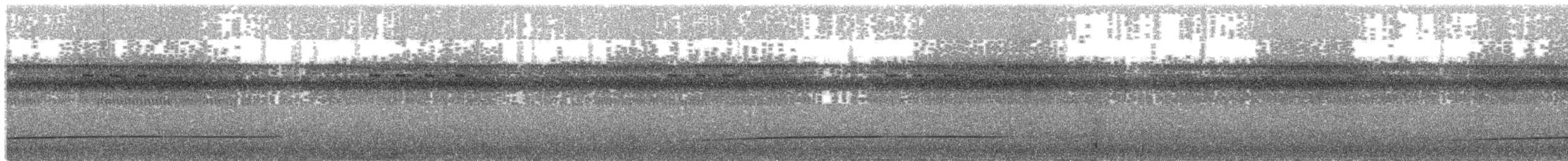 Синеголовый зимородок (monachus) - ML204014651