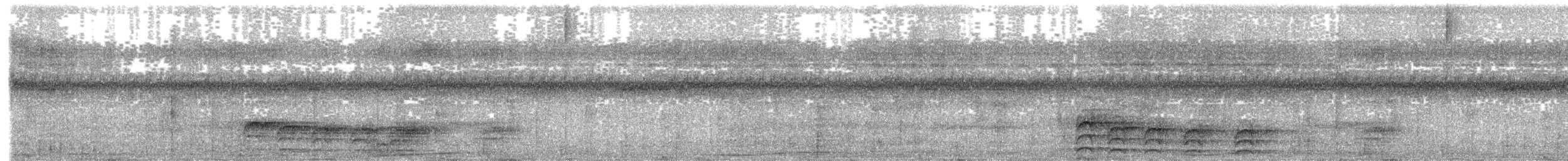 Яструб плямистохвостий - ML204014751