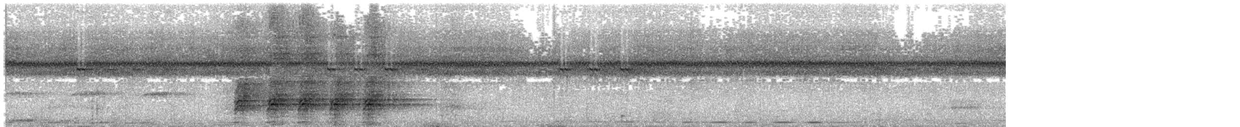 Spot-tailed Goshawk - ML204014761