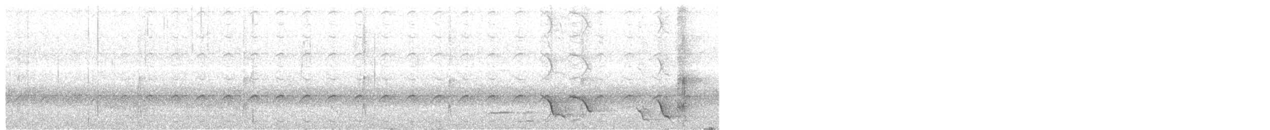 Королаз плямистобокий [група leucophaea] - ML204015861