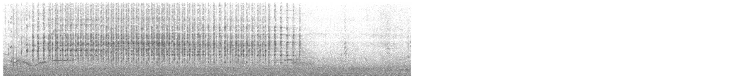 australdvergdykker - ML204016161