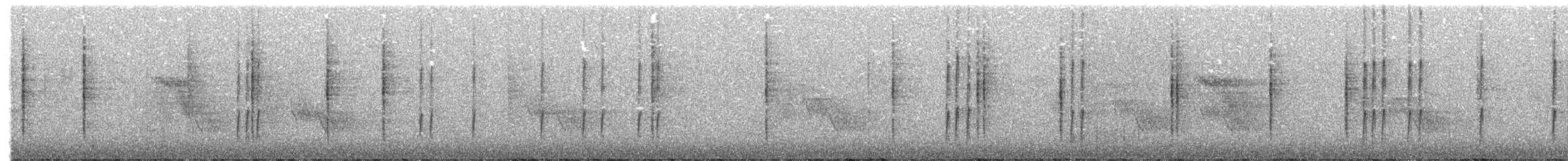 ハイムネハウチワドリ - ML204016321