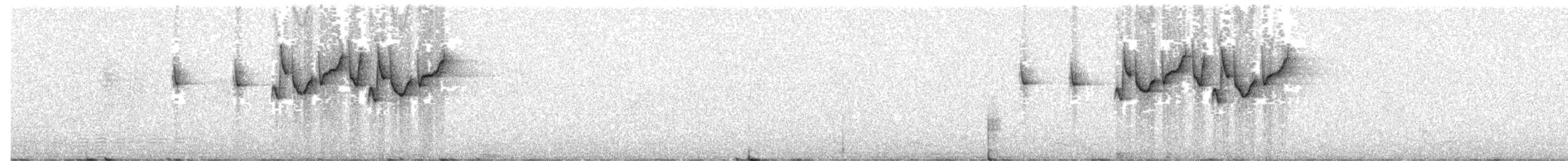 Gray-hooded Warbler - ML204016341