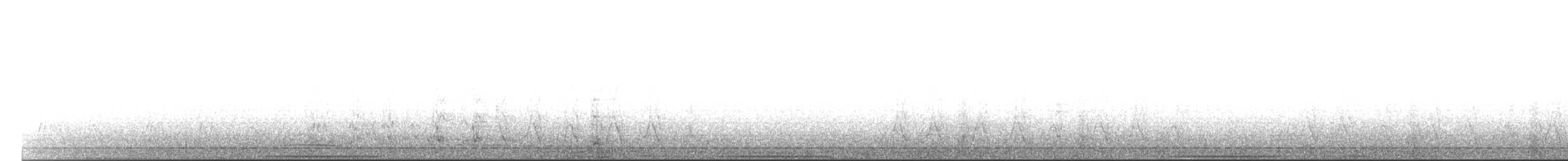 holub bronzovokřídlý - ML204017371