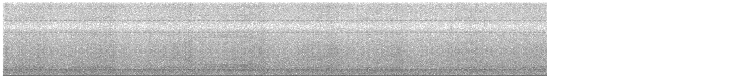 kakadu bělouchý - ML204017601
