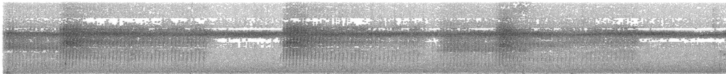 Schwarzgesicht-Ameisenvogel - ML204018131