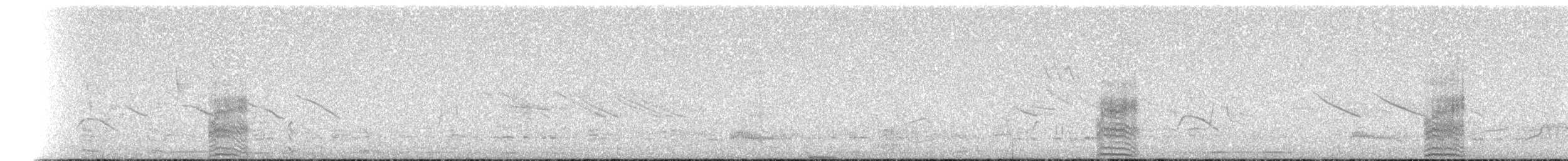 potápka bělouchá - ML204018361