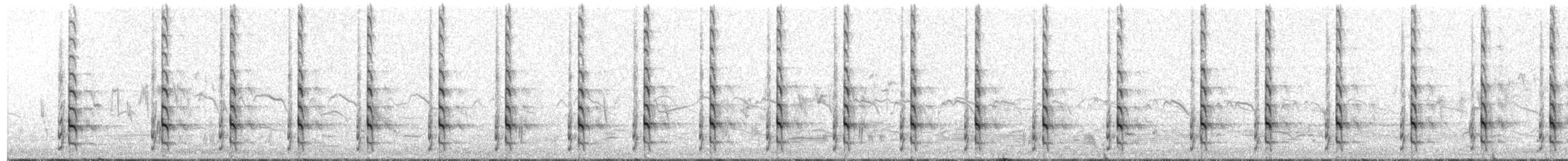 Boz Düdükçün - ML204018511