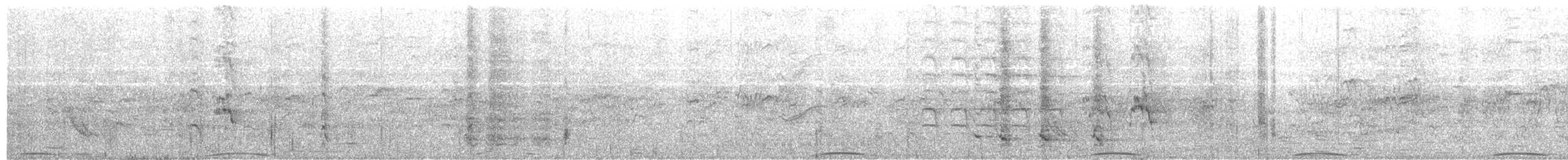 Spitzschopftaube - ML204018681