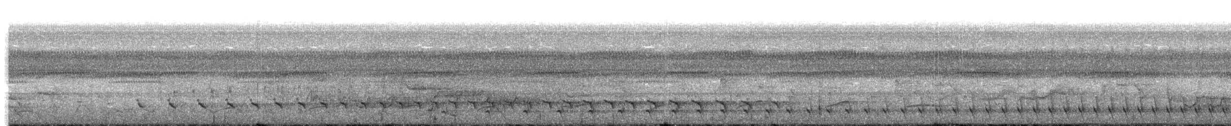 ハゲガオホウカンチョウ（fasciolata／grayi） - ML204019391