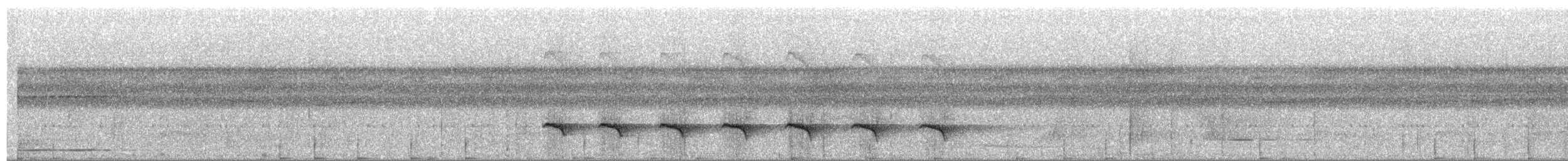 Schwarzscheitel-Ameisenvogel (rufifrons/subcristata) - ML204019471