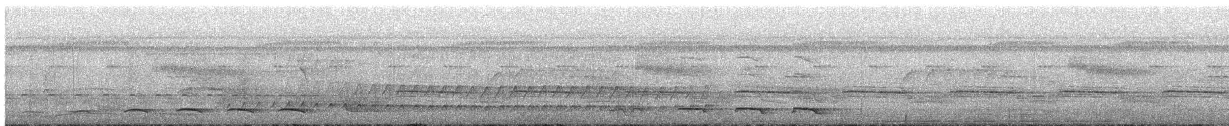 Trogón Acollarado (grupo collaris) - ML204019531