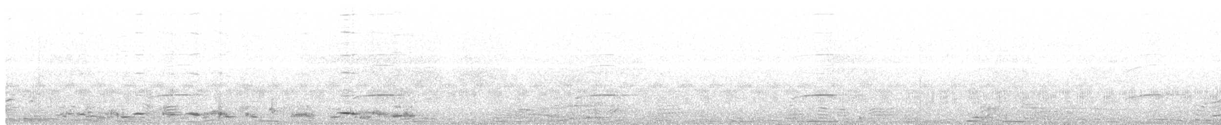 Avustralya Saksağanı (telonocua/tyrannica) - ML204020691