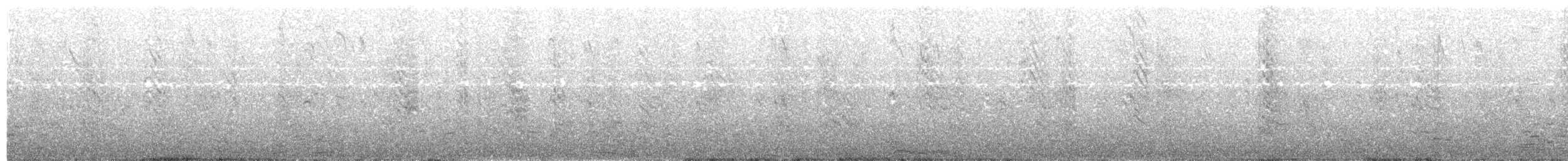 Weißstirn-Seeschwalbe - ML204020841