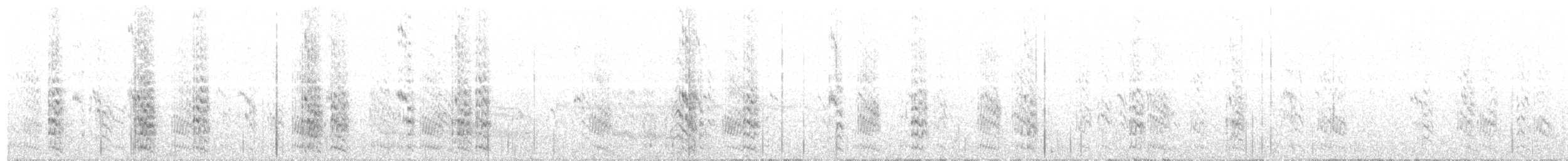 Weißstirn-Seeschwalbe - ML204020931