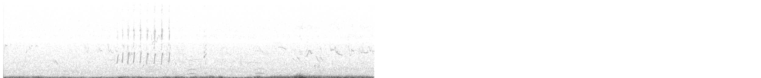 kulík černoprsý - ML204021031