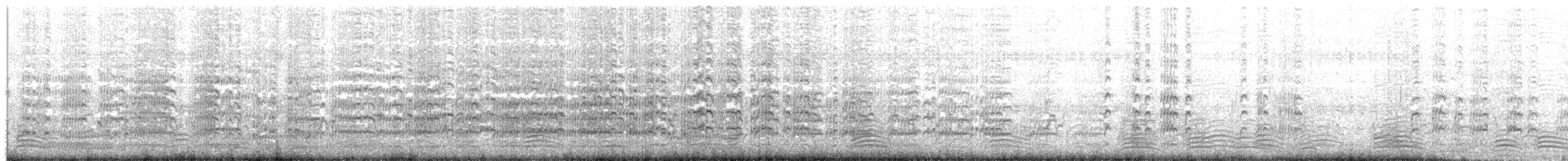 ズグロトサカゲリ（novaehollandiae） - ML204021051