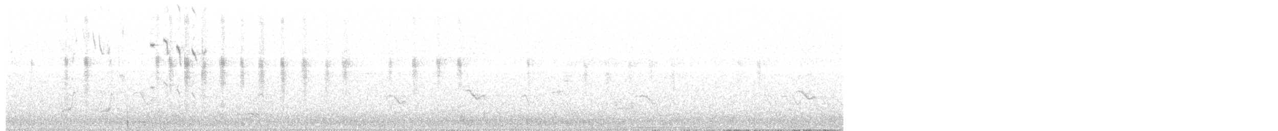 Perruche élégante - ML204021151