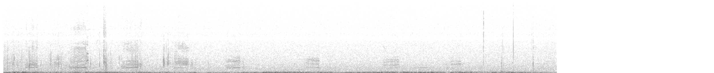 Sarcelle australasienne - ML204021191