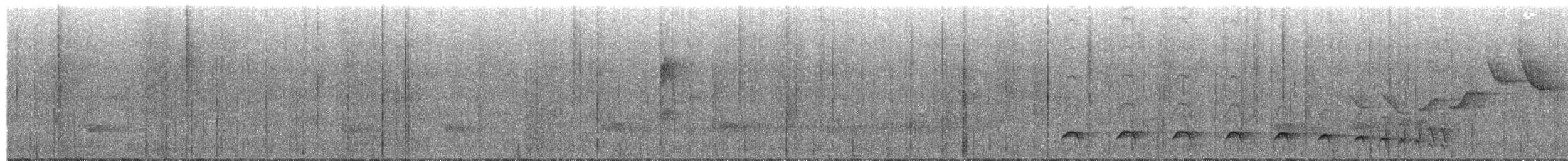 Olivgrau-Ameisenvogel - ML204021641