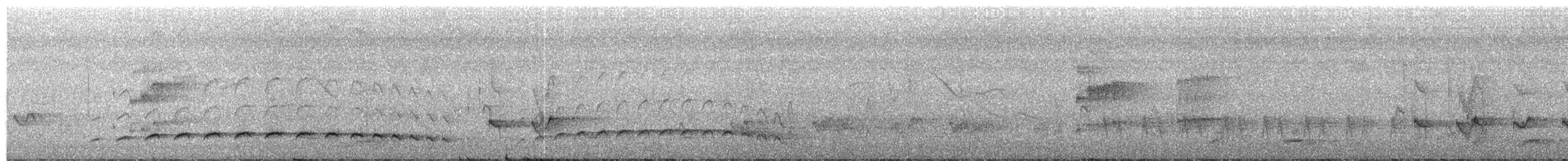 Fleckenbrust-Ameisenvogel - ML204021661