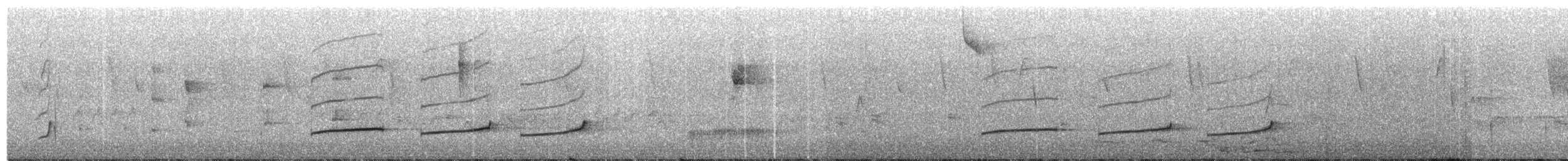 Тиран-крихітка світлогорлий - ML204021771