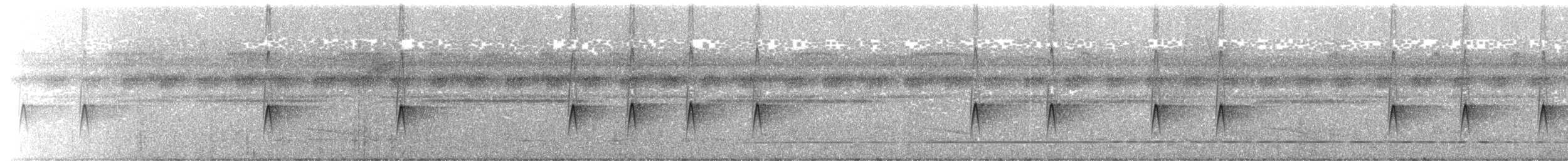 Dunkelschnäppertyrann - ML204022161