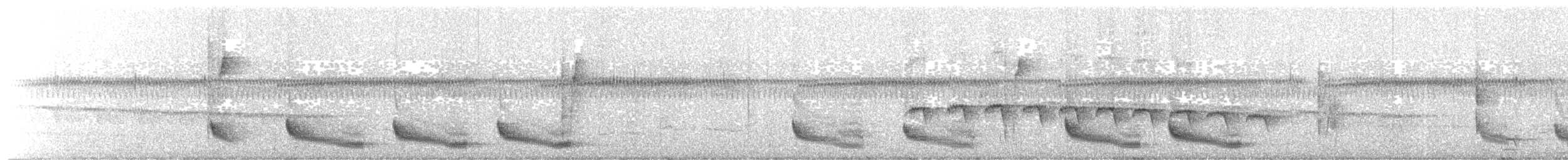 Troglodyte coraya - ML204022191