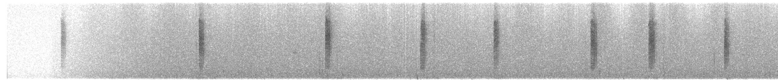 Grünband-Sonnennymphe - ML204023321