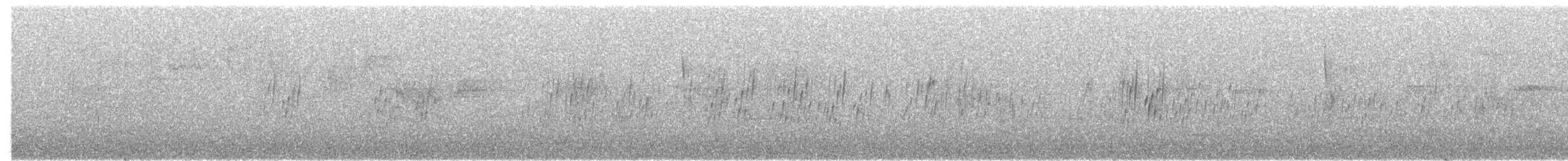 Pale-footed Swallow - ML204023401