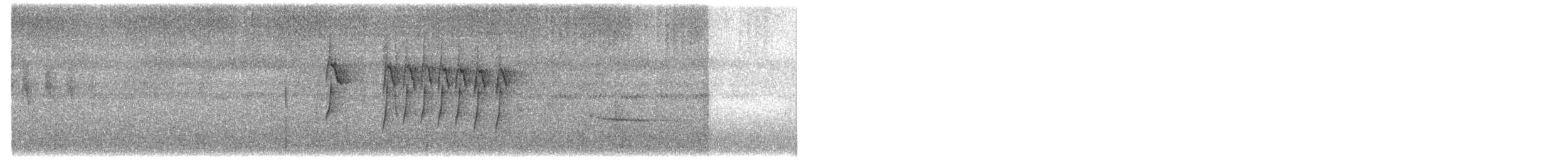 Rufous-browed Tyrannulet - ML204023421