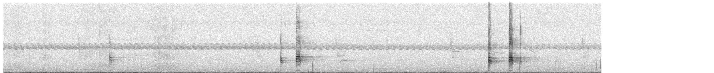 ibis bělokřídlý - ML204023521