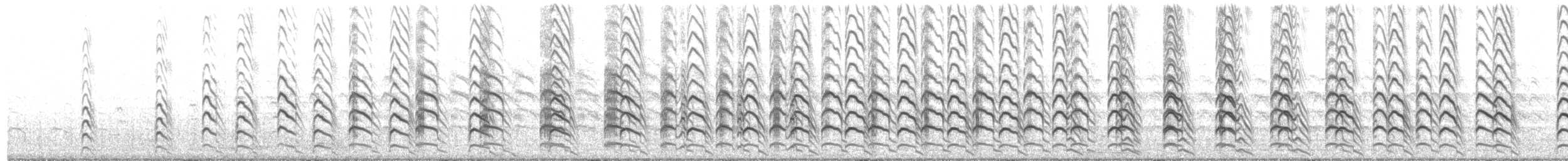 Southern Lapwing - ML204023531