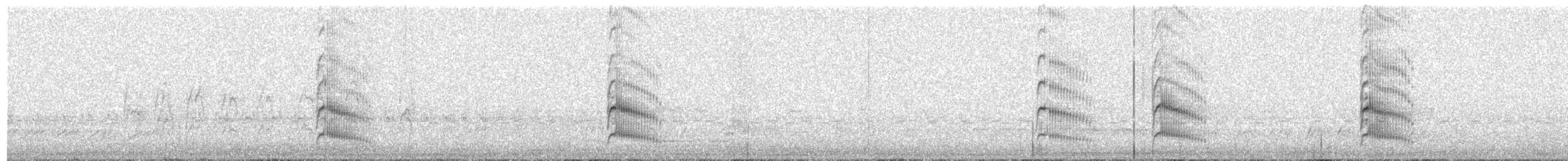 White Woodpecker - ML204023581