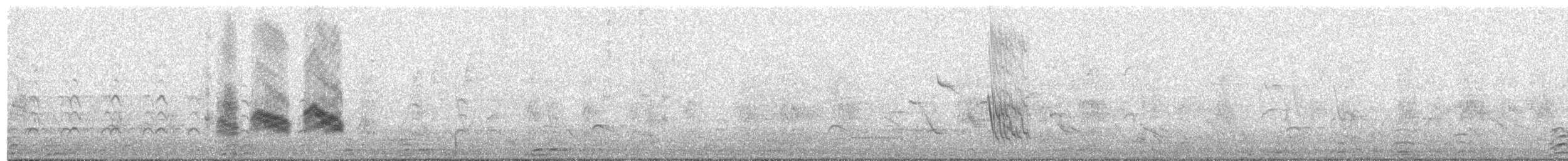 Gray-breasted Martin - ML204023611