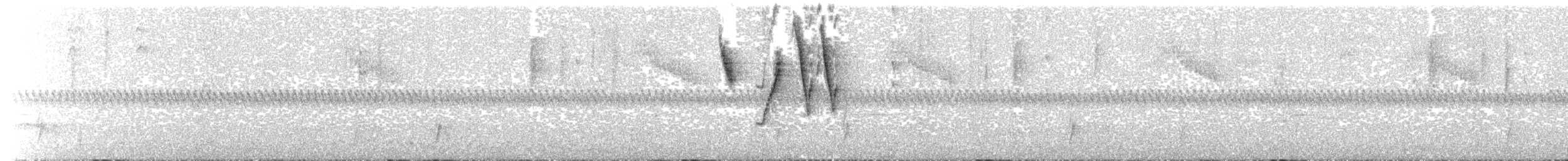 Braunbart-Buschammer - ML204023641