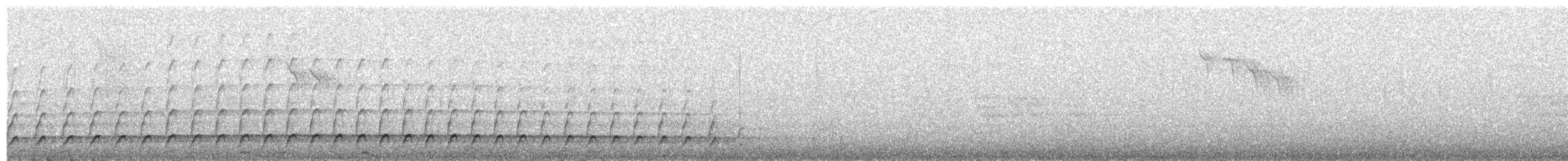 Black Woodpecker - ML204023681