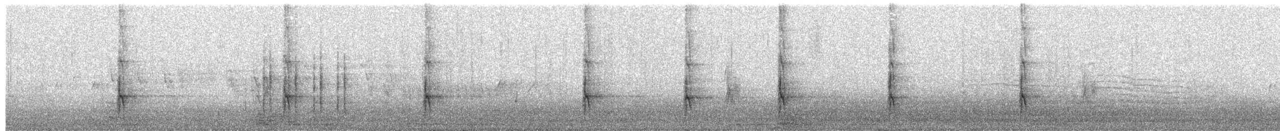 Syrian Woodpecker - ML204023711