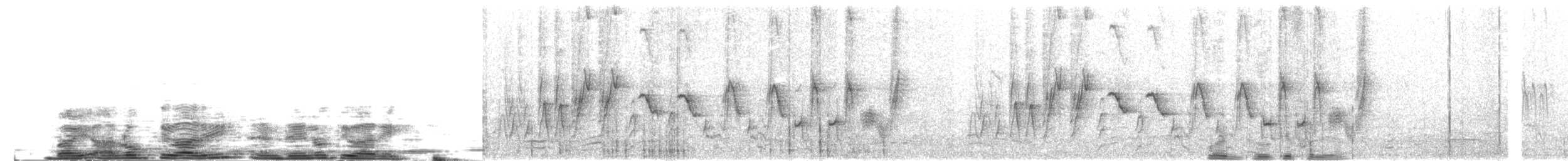 Weißbrauenstelze - ML204023901