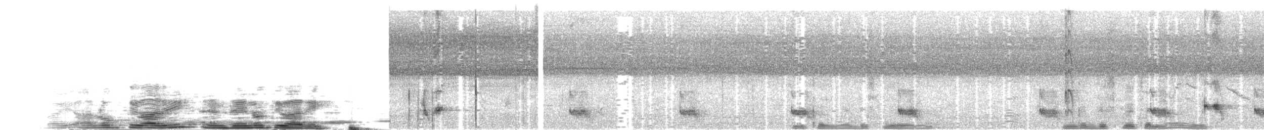 Tepeli Alaca Guguk - ML204024261