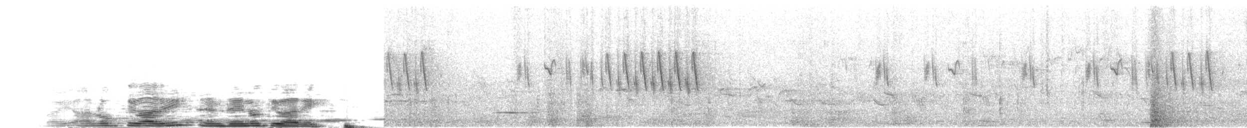 ハイムネハウチワドリ - ML204024651