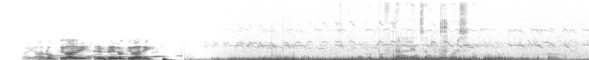 חופזי מנומר - ML204024681