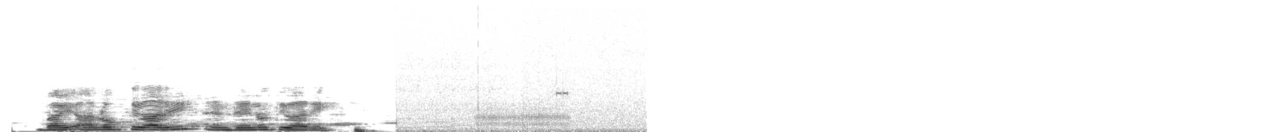 Küstenreiher (schistacea) - ML204024691