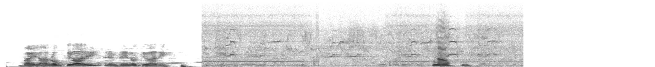 storskrikørn - ML204025211
