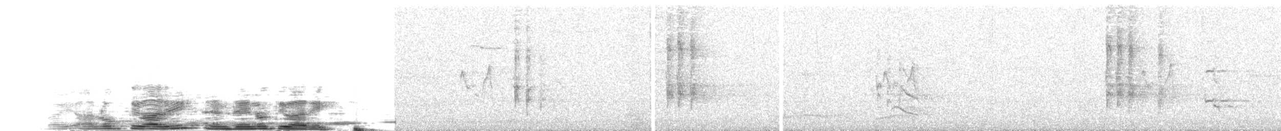 Rotschnabelkitta - ML204025291