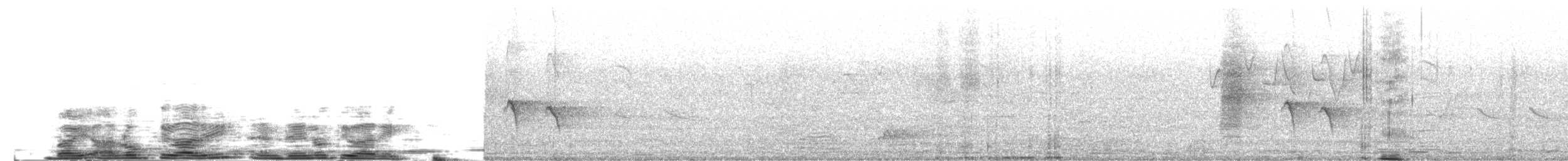 דרונגו עשנוני (מערבי) - ML204025381