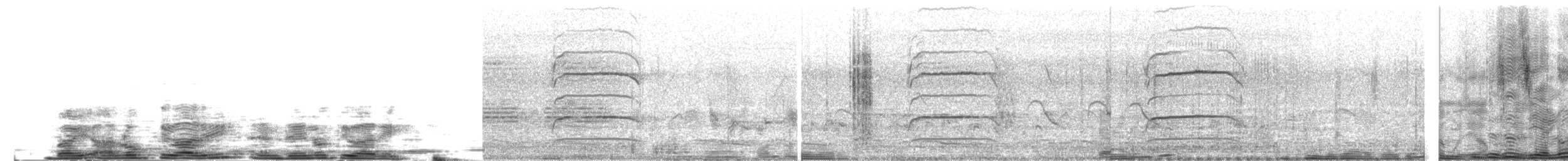 Lesser Yellownape - ML204025501