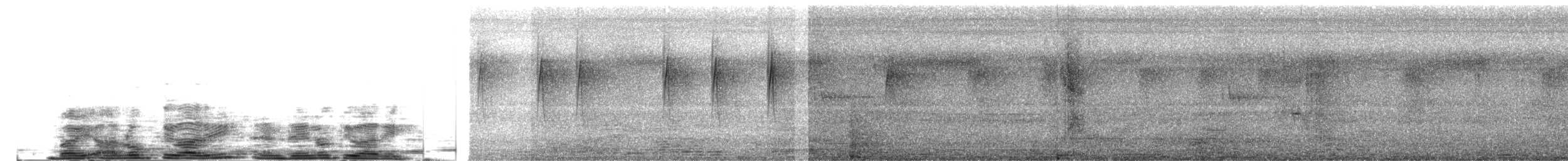 ハシブトハナドリ（agile／zeylonicum） - ML204026211