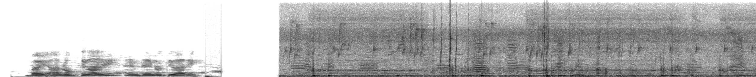 灰雁(rubrirostris) - ML204026391