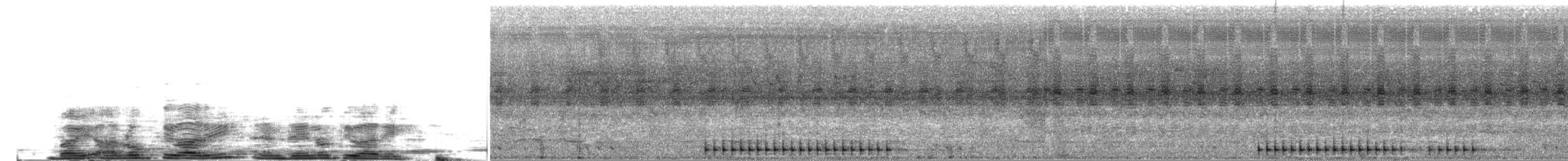 Grauspecht (Asiengrauspecht) - ML204027331
